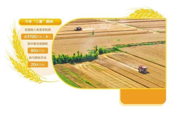 全链护航颗粒归仓