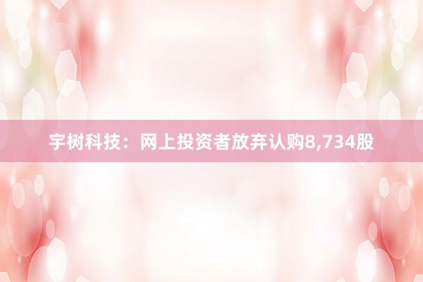 宇树科技：网上投资者放弃认购8,734股