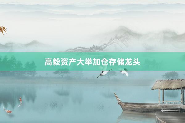 高毅资产大举加仓存储龙头