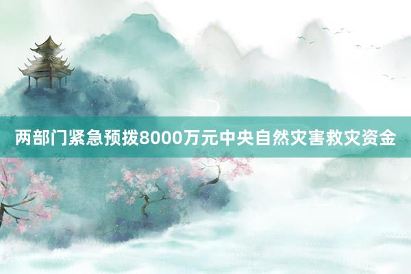 两部门紧急预拨8000万元中央自然灾害救灾资金