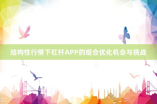 结构性行情下杠杆APP的组合优化机会与挑战