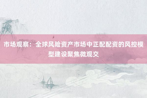 市场观察：全球风险资产市场中正配配资的风控模型建设聚焦微观交