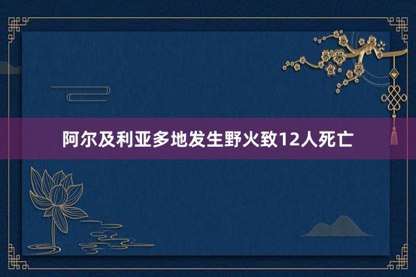 阿尔及利亚多地发生野火致12人死亡