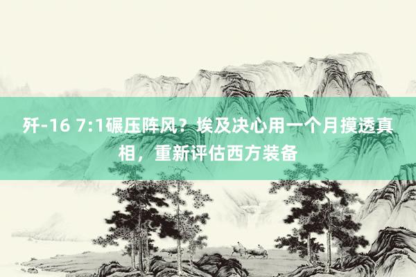 歼-16 7:1碾压阵风？埃及决心用一个月摸透真相，重新评估西方装备