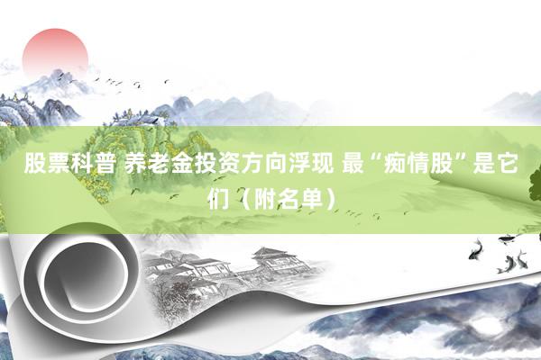 股票科普 养老金投资方向浮现 最“痴情股”是它们（附名单）