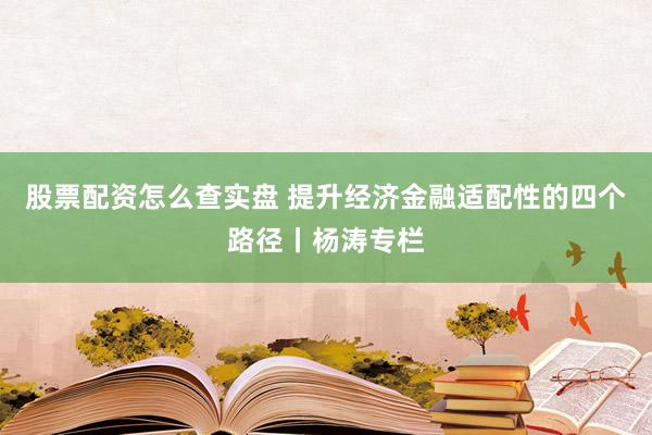 股票配资怎么查实盘 提升经济金融适配性的四个路径丨杨涛专栏