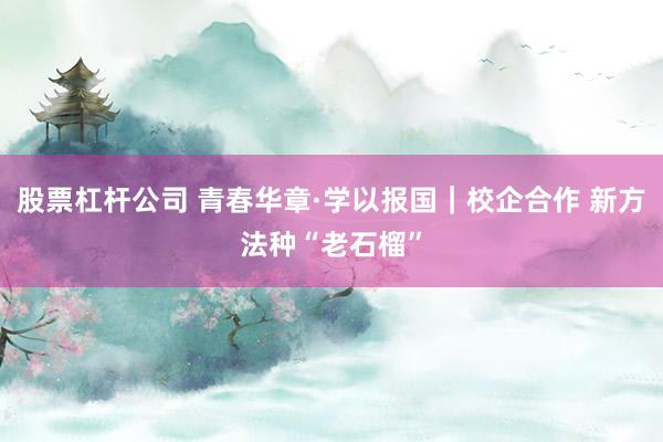 股票杠杆公司 青春华章·学以报国｜校企合作 新方法种“老石榴”