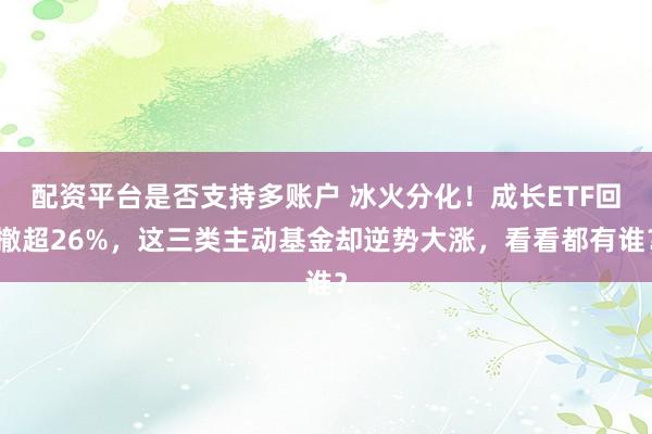 配资平台是否支持多账户 冰火分化！成长ETF回撤超26%，这三类主动基金却逆势大涨，看看都有谁？