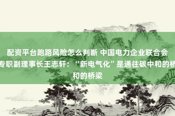 配资平台跑路风险怎么判断 中国电力企业联合会原专职副理事长王志轩：“新电气化”是通往碳中和的桥梁