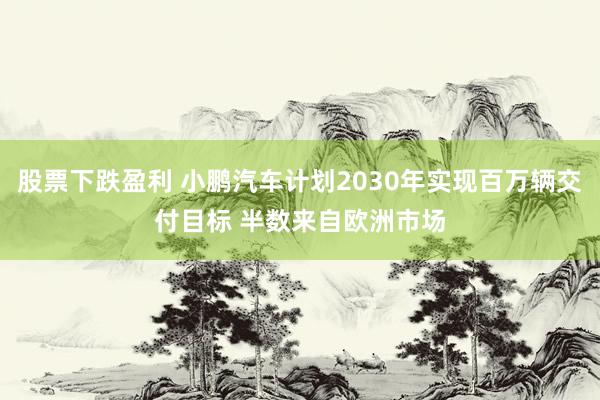 股票下跌盈利 小鹏汽车计划2030年实现百万辆交付目标 半数来自欧洲市场