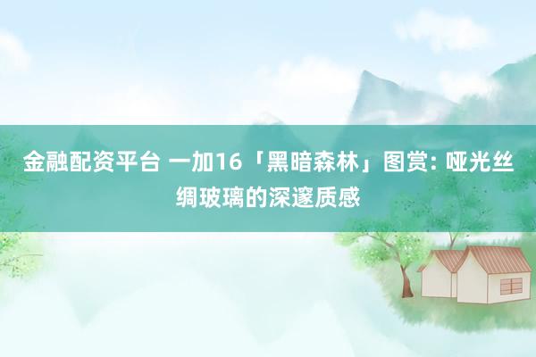 金融配资平台 一加16「黑暗森林」图赏: 哑光丝绸玻璃的深邃质感